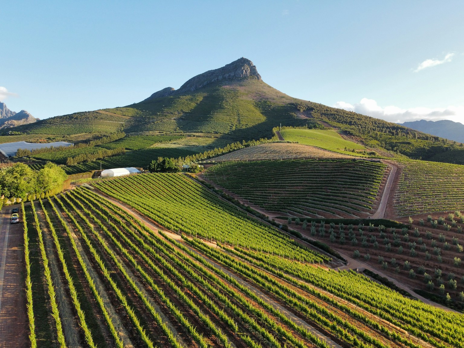 Vinhedos verdes de Franschhoek diante das montanhas